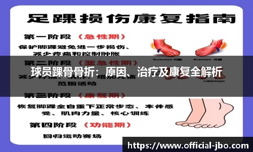 jbo竞博体育官网